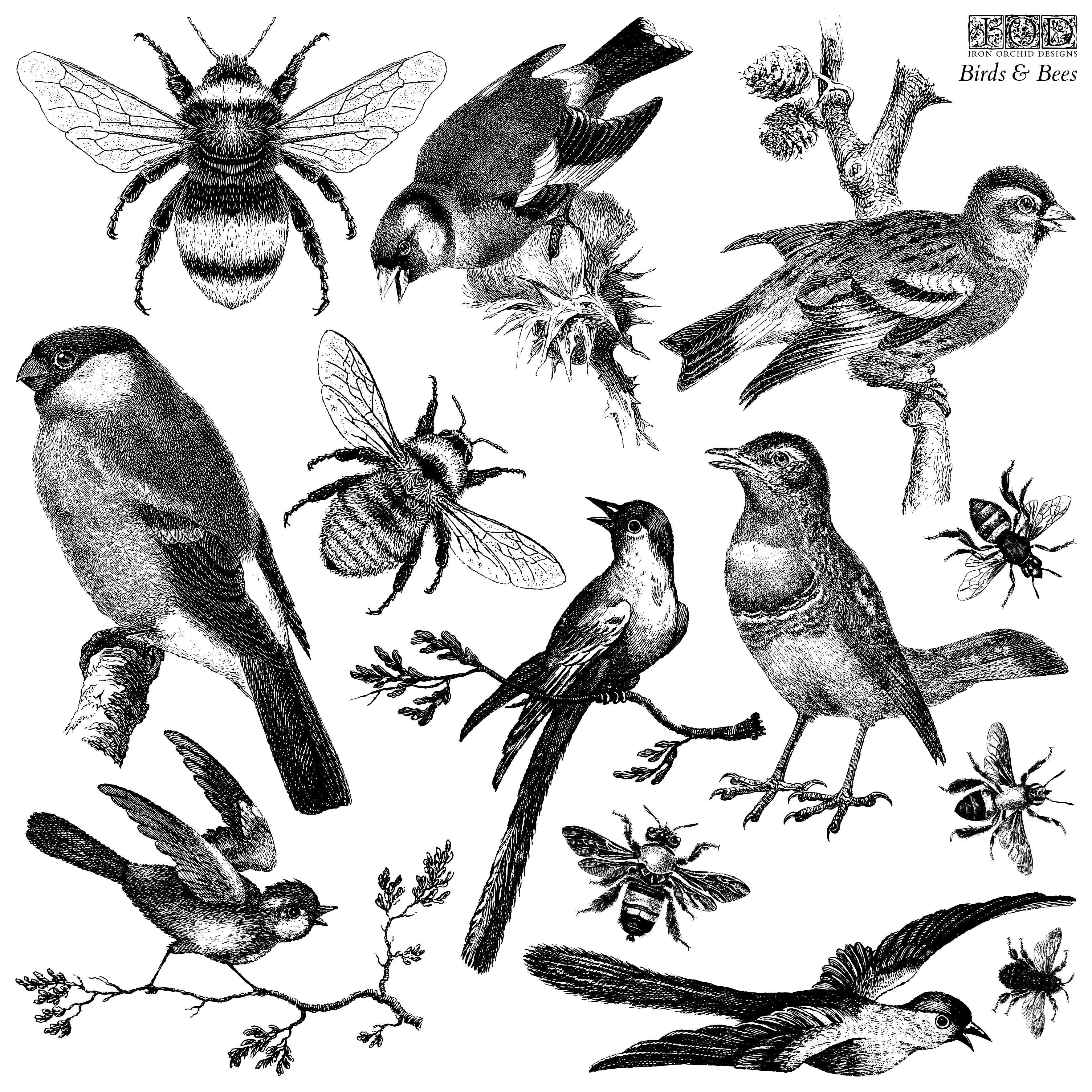 Birds & Bees 12x12 IOD StampЄ Iron Orchid Designs, LLC.